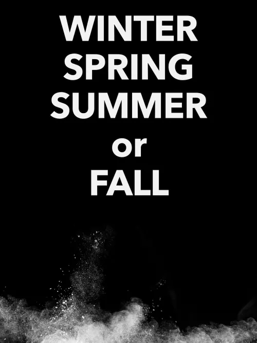 Movie poster "Winter Spring Summer or Fall"