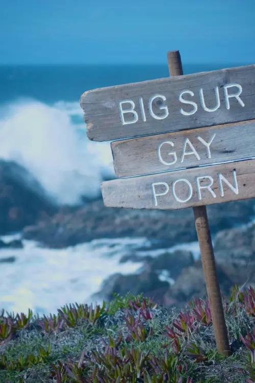 Movie poster "Big Sur Gay Porn"