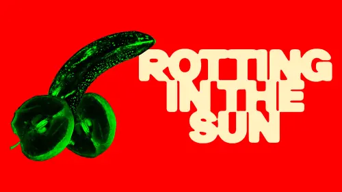 Watch film Rotting in the Sun | Official Clip