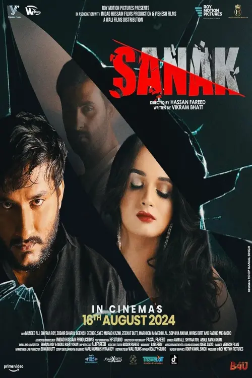 Movie poster "Sanak"