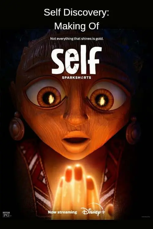 Movie poster "Self Discovery"