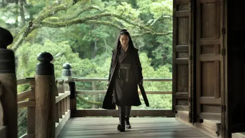 Watch film The Assassin | THE ASSASSIN (2015) Official Trailer - Well Go USA