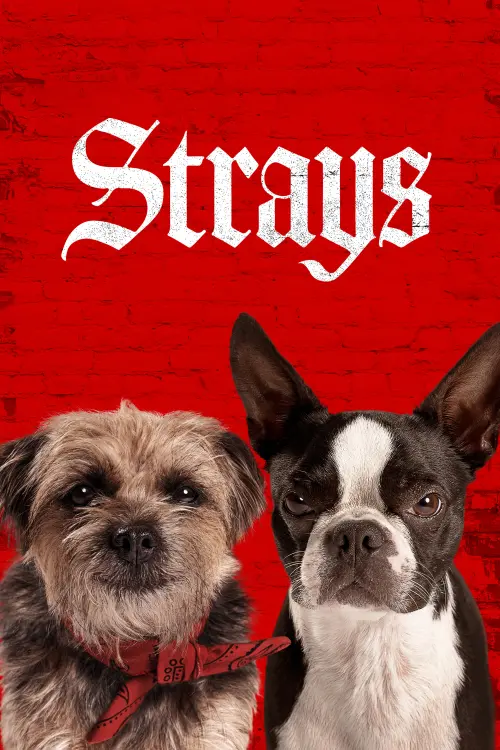 Movie poster "Strays"