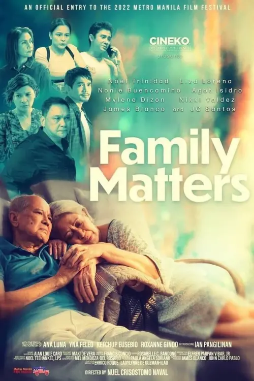 Movie poster "Family Matters"