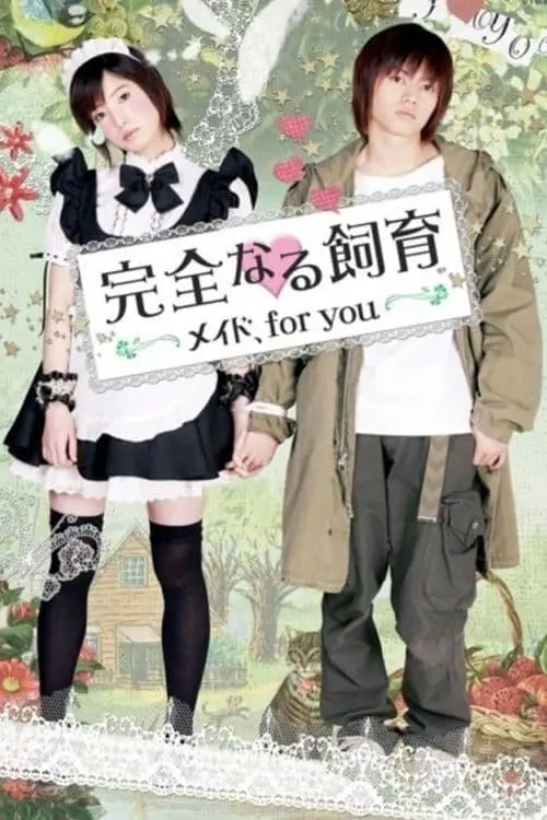 Movie poster "Perfect Education: A Maid for You"