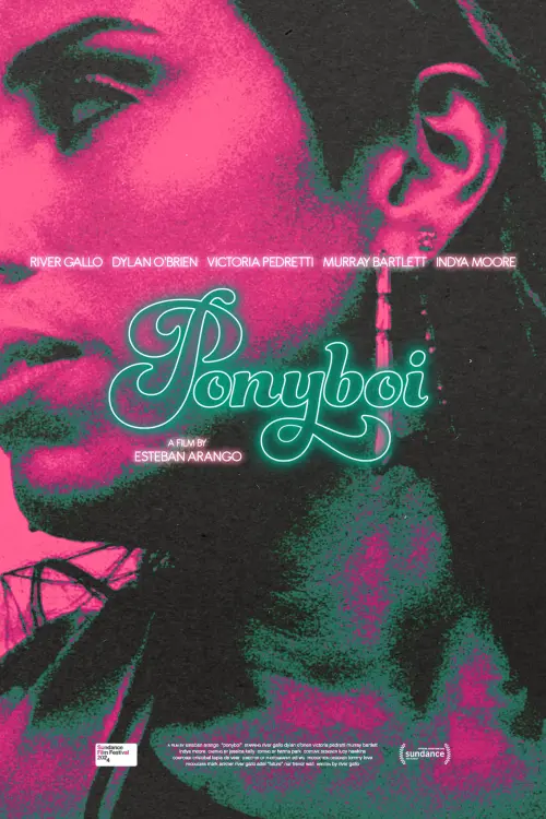 Movie poster "Ponyboi"