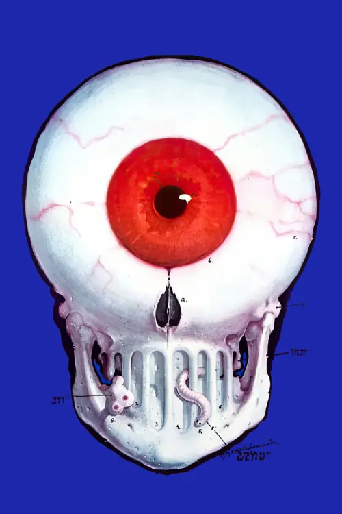 Movie poster "The Hourglass Sanatorium"