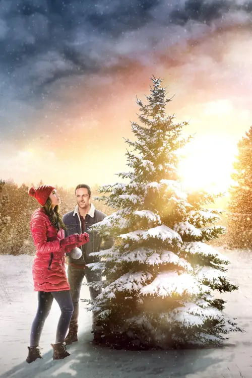 Movie poster "The Christmas Promise"