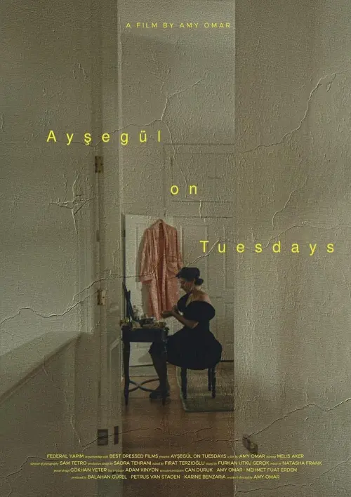 Movie poster "Ayşegül on Tuesdays"