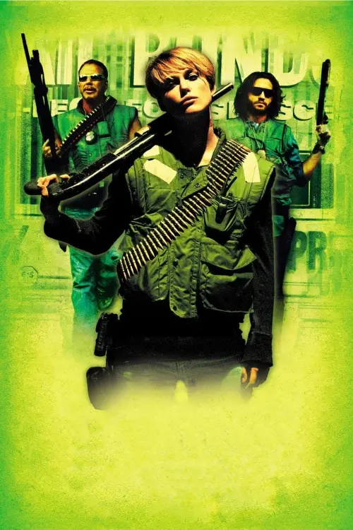 Movie poster "Domino"