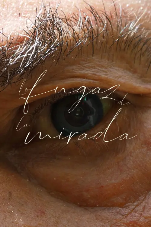 Movie poster "Lo fugaz de la mirada"