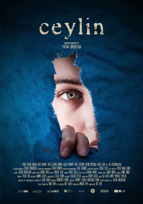 Movie poster "Ceylin"