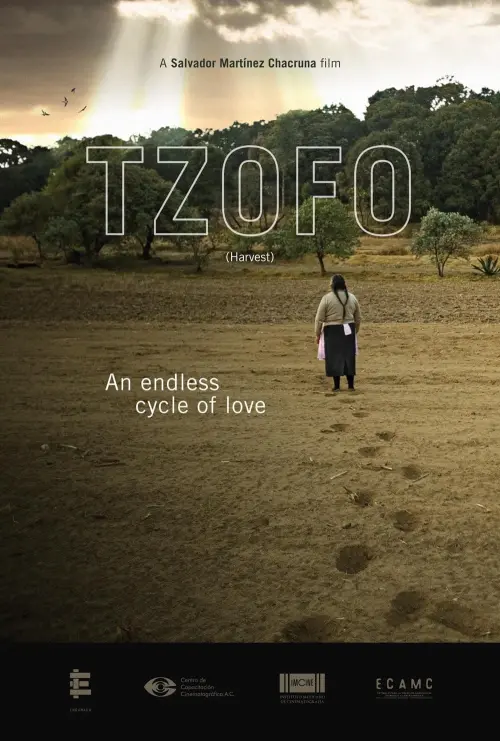 Movie poster "Tzofo"