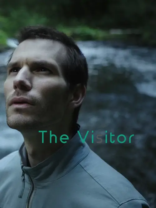 Movie poster "The Visitor"