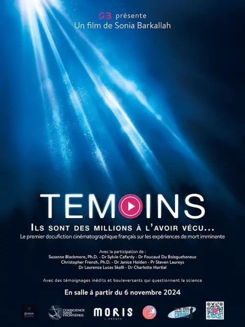 Movie poster "Témoins"