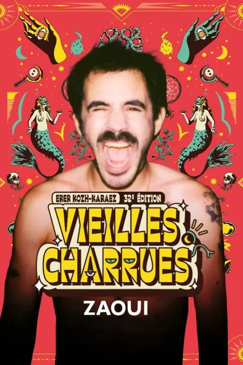 Movie poster "Zaoui en concert aux Vieilles Charrues 2024"