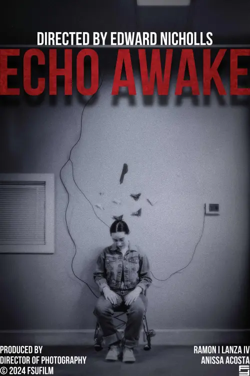 Movie poster "Echo Awake"