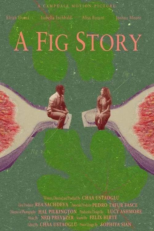 Movie poster "A Fig Story"