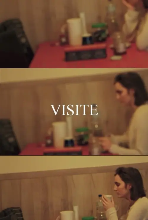 Movie poster "VISIT"