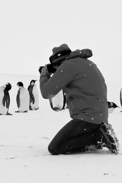 Movie poster "Antarctica Calling"