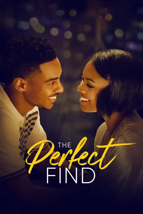 Movie poster "The Perfect Find"