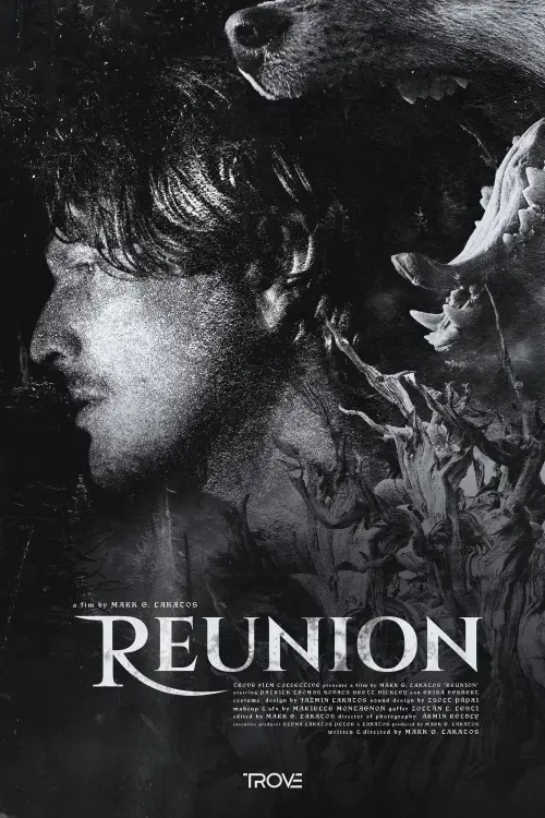 Movie poster "Reunion"