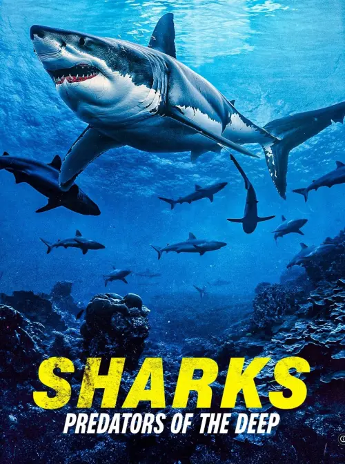 Movie poster "Sharks: Predators of the Deep"