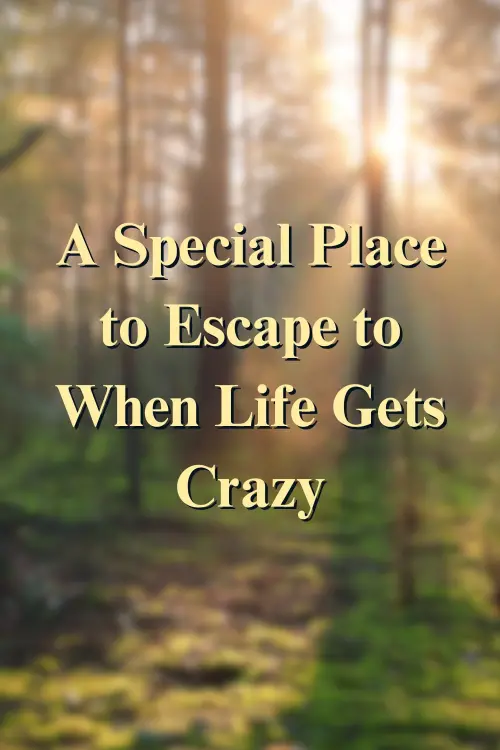 Movie poster "A Special Place to Escape to When Life Gets Crazy"