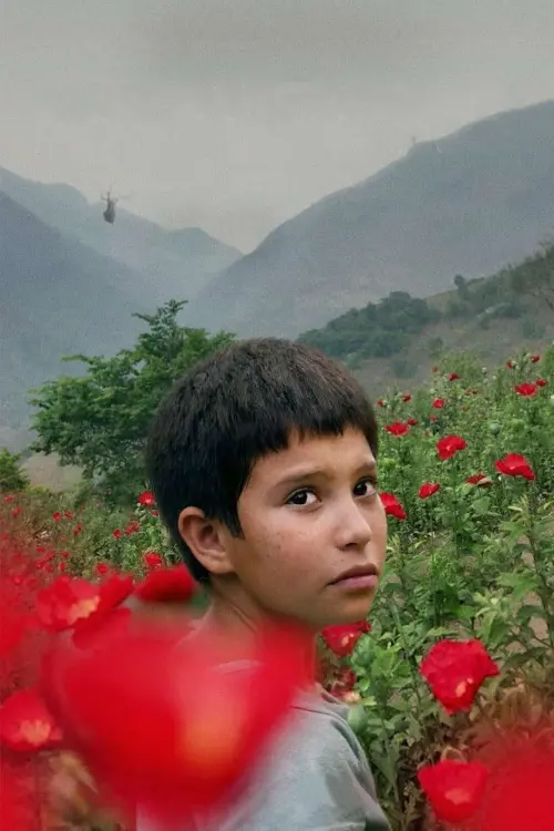 Movie poster "Prayers for the Stolen"