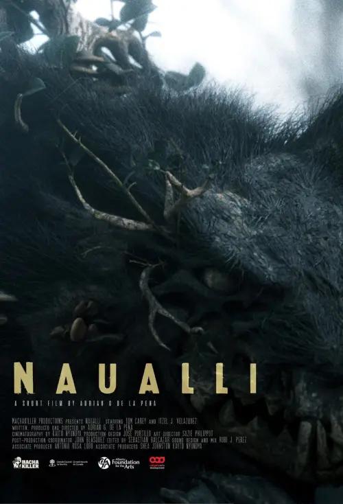 Movie poster "Naualli"