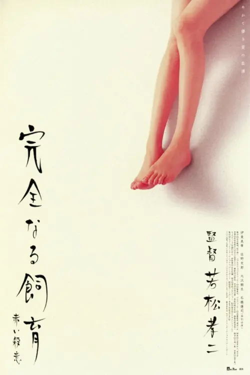 Movie poster "Perfect Education 6"