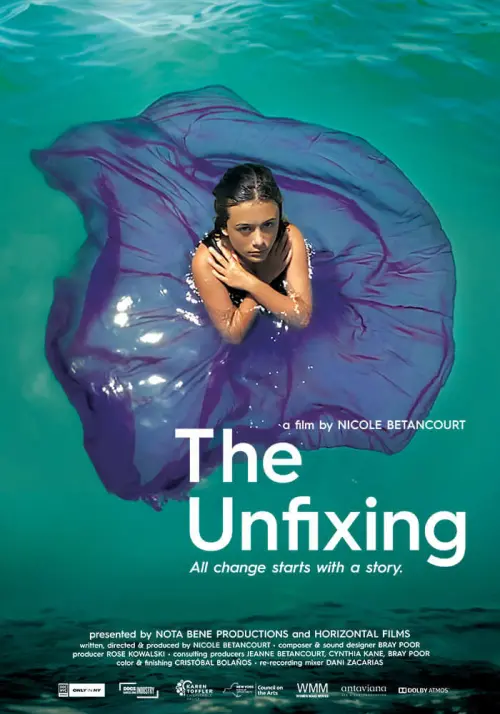 Movie poster "The Unfixing"