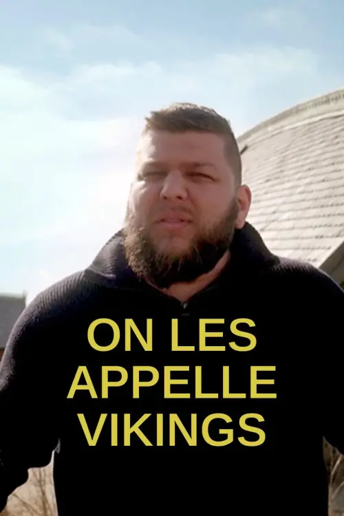 Movie poster "On les appelle vikings"