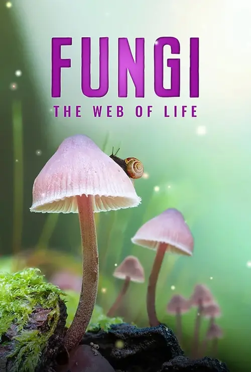 Movie poster "Fungi: Web of Life"