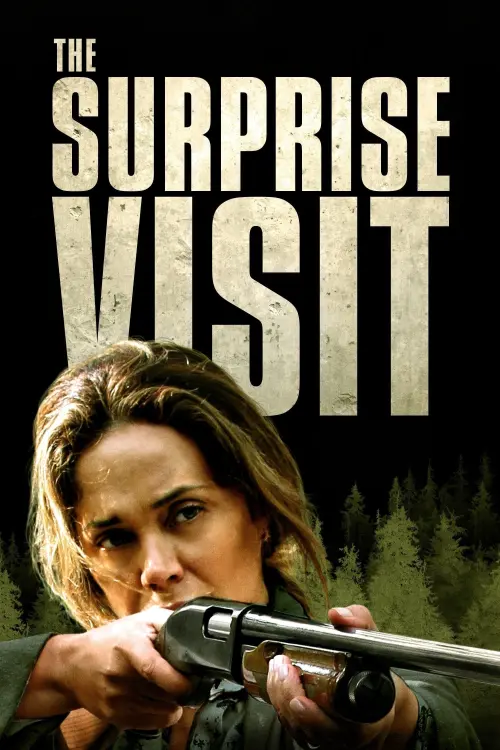 Movie poster "The Surprise Visit"