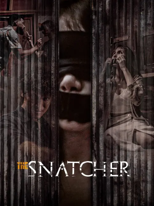 Movie poster "The Snatcher"