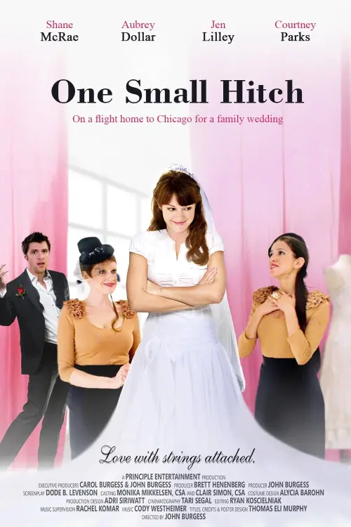 Movie poster "One Small Hitch"