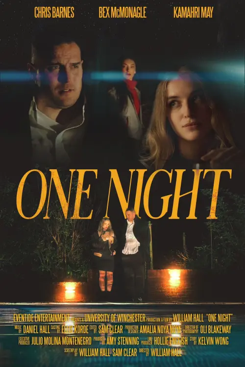 Movie poster "One Night"