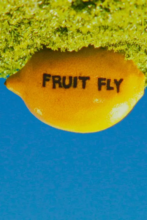 Movie poster "Fruit Fly"