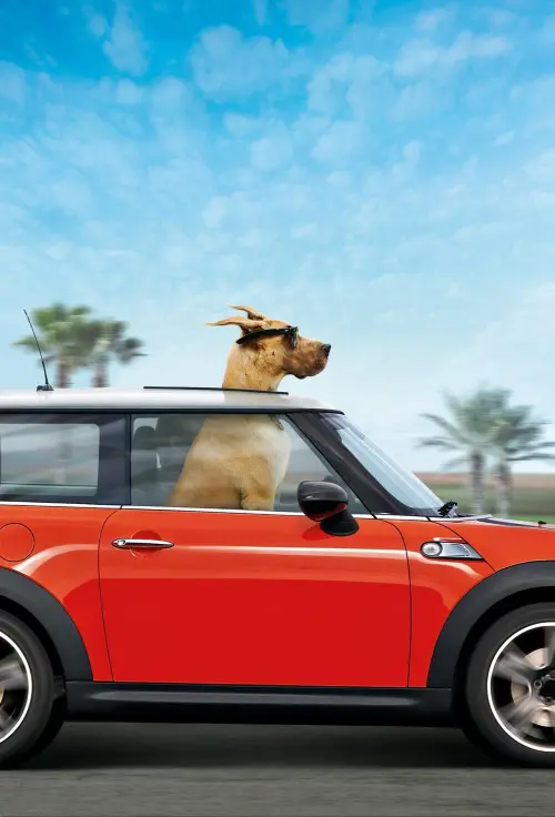 Movie poster "Marmaduke"