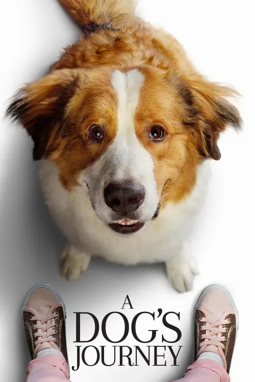 Movie poster "A Dog