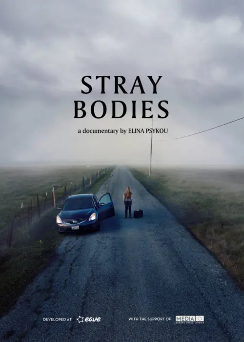 Movie poster "Stray Bodies"