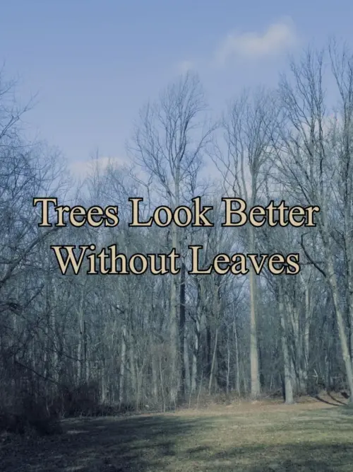 Movie poster "Trees Look Better Without Leaves"