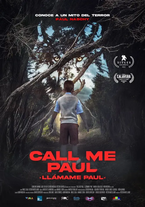 Movie poster "Call Me Paul"