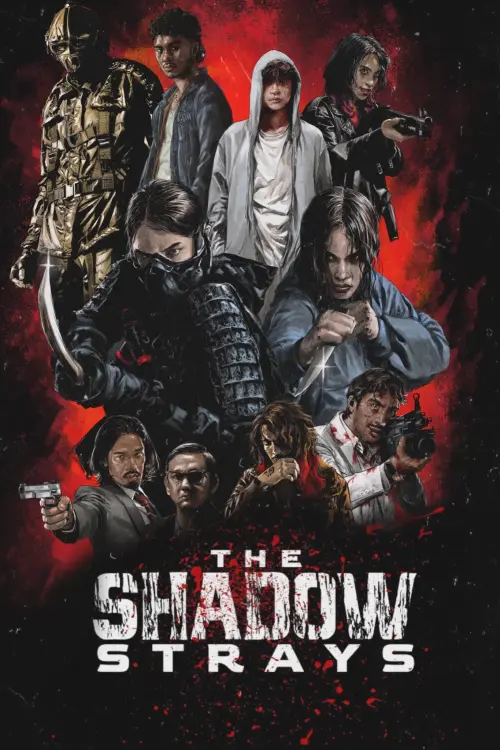 Movie poster "The Shadow Strays"