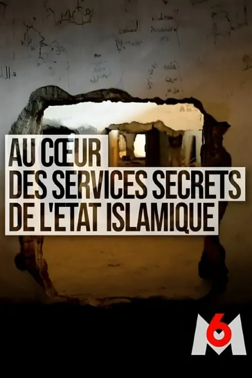 Movie poster "Au coeur des services secrets de l