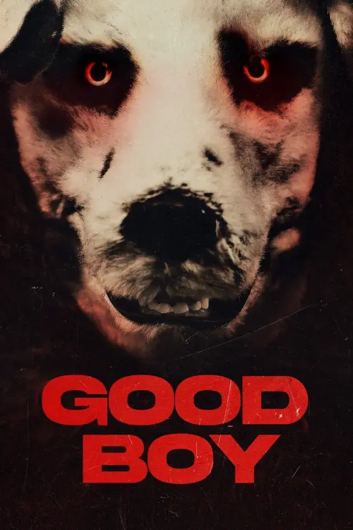 Movie poster "Good Boy"