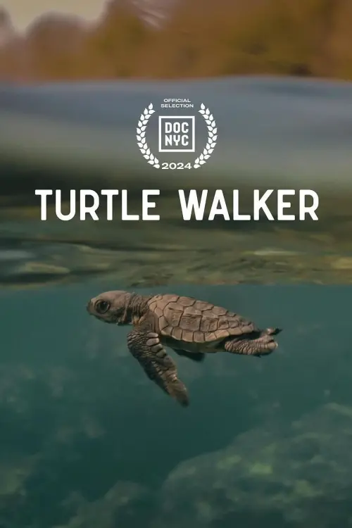 Movie poster "Turtle Walker"