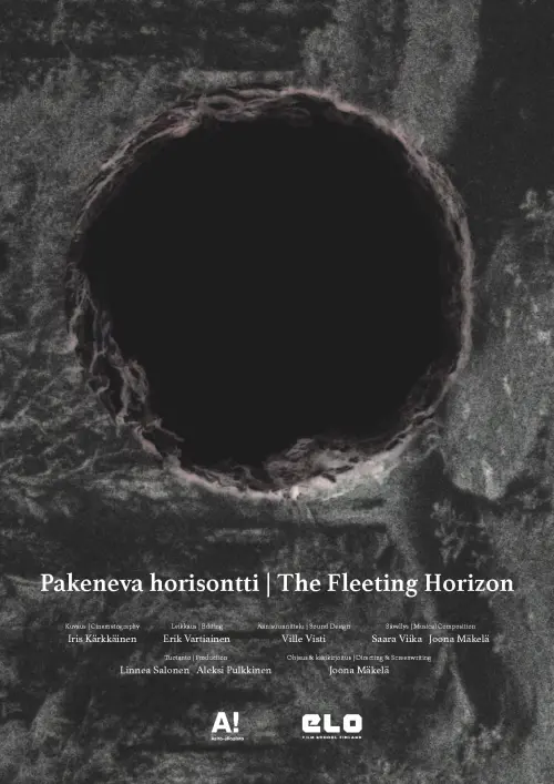 Movie poster "The Fleeting Horizon"