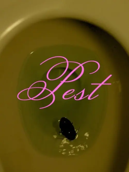 Movie poster "Pest"